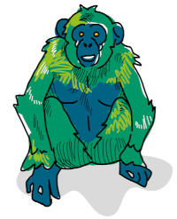 Illustration AFFE