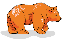 Illustration BÄR